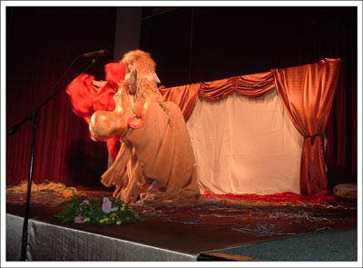Picture-038